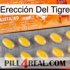 Erección Del Tigre new05